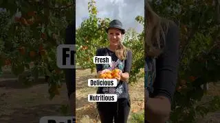 Eat with the seasons #shorts #healthyliving #eatseasonal #hiddenwisdom #delicious