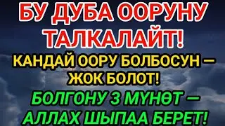 АЛЛАХТЫН УРУКСАТЫ МЕНЕН ТОЛУК ШЫПАА!ПАЙГАМБАРДЫН 3 МҮНӨТТҮК ДУБАСЫ — ООРУНУ ТАМЫРЫНАН ЖОК КЫЛАТ! 🔥