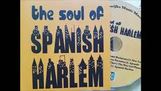 Lamento Borincano - Van Merwijks Music Machine - 2016