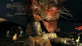 Let's play: Dark Souls Remastered #16 [Warrior] - Giant Rat Boss