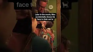🎥: 