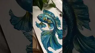 Betta/Fighter fish painting! #watercolor #artshorts #painting #artist #art