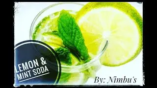 Refreshing Lemon & Mint Soda / herbs and spices