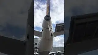 Lufthansa Airbus A319-114 significantly damaged by a ladder in Frankfurt😯✈️  #aviation #airline