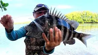 How to Catch Sheepshead!! Ultimate Fishing Tutorial