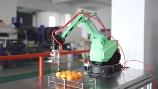 4 axis 6 axis robotic arm manipulator