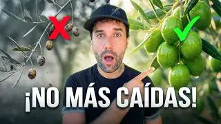 Las FLORES y FRUTOS de tus PLANTAS se CAEN porque NADIE te dijo ESTO… 🍇