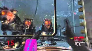 Cod WaW Zombies WTF Moment
