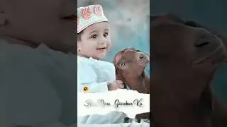 kurbane keya hai yi jarur janyi New whatsapp video New reel 💞💓🌹🌹🌹🌹🌹🌹🌺🌺🌸🏵️🏵️🌻🌼💐💐