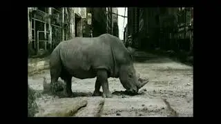 Life After People Music Video (reversed)