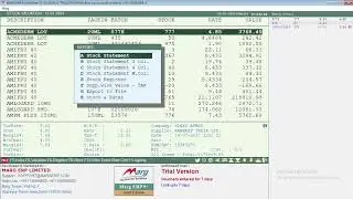 Stock Valuation Company Wise Summary Report in Marg ERP Software