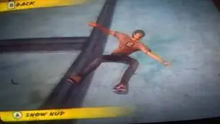 EA Skate it bails