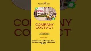 find best automobile dehradun on addressguru