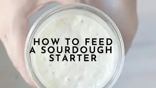 How to Feed a Sourdough Starter