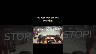 🤣🔥🤑THE BEST 