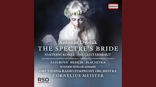 The Spectre's Bride, Op. 69, B. 135: Tu na planině &scaron;irok&eacute; (Bass, Chorus)