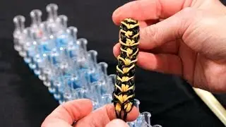 How to Make a Tiger Stripe Bracelet | Rainbow Loom