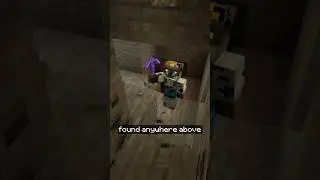The BEST Way To Get Coal In Minecraft