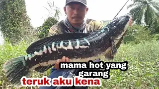 Giant snake haed || casting toman || mama hot yang garang || ady fly
