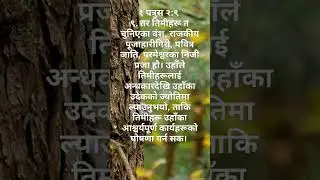 |NEPALI DAILY BIBLE VERSE|SHORTS|SUM SAMEER|Nov 18/ 2024