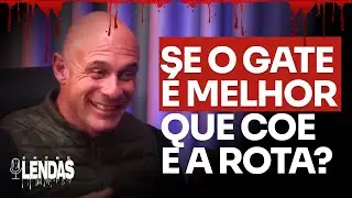SE O GATE &Eacute; MELHOR QUE COE E A ROTA?