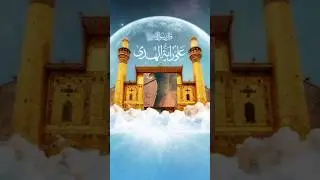 Ek Kabootar.......#hussain #hussainforjustice #deen