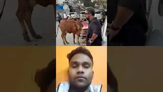heart touching happiness 😊&hearts;️💯 #humanity #shorts #emotional #viralshorts #viralvideo #song #love