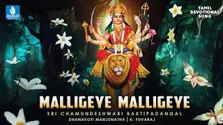 Malligeye Malligeye - மல்லிகேயே மல்லிகேயே | Navaratri Special Song | Dhanakoti Manjunatha