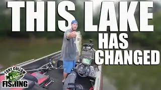 Fishing This LAKE Was The BEST Decision I Ever Made!