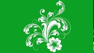 Flourish Flower on Green Screen 18
