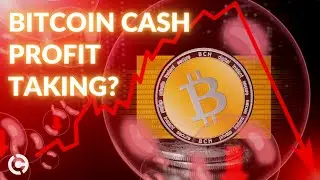 UPDATED Bitcoin Cash Price Analysis January 2021 | Steady as She Goes?