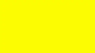Pure Yellow Screen 10 Seconds HD 1080p