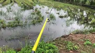 Đi c&acirc;u lure gặp b&atilde;i to&agrave;n b&uacute; b&igrave;nh | C&acirc;u c&aacute; l&oacute;c T&acirc;y Nguy&ecirc;n