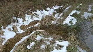 Intermittent Stream