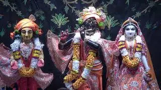 Reasons for Lord Chaitanya's Appearance |  H.G. Vraja Jivan  Dasa  | 2026-02-07 | ISV