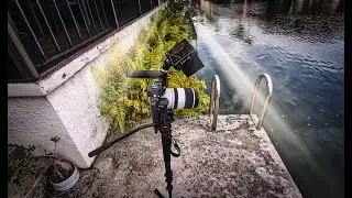 Home Safari Short Film Competition: Canon EOS R and Atomos Ninja V #atomoskeepcreating