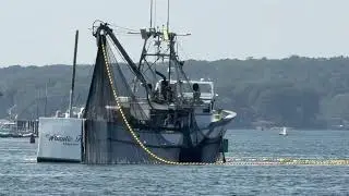 Hauling Back A Pogie Seine In Gloucester MA Harbor