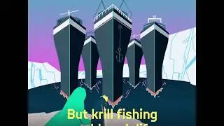 Krill Video - Protect the Antarctic