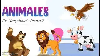 ANIMALES EN KAQCHIKEL PARTE 2