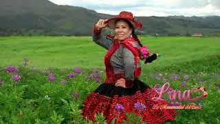 LINA CORAZÓN - PUNA VIZCACHITA / primicia 2025