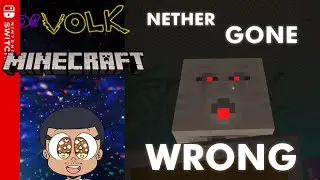 How NOT to Enter The Nether | Minecraft Switch | Dr. Volk
