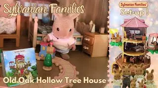 Sylvanian Families [SET-UP] Old Oak Hollow Tree House // Calico Critters [w/CC]