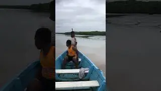 Gusu ni wai na Rewa River Veivatu levu