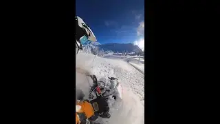 Bluebird day, Lynx riders will play