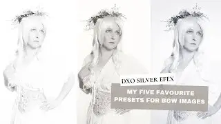 My 5 Favourite Presets in DXO Silver Efex