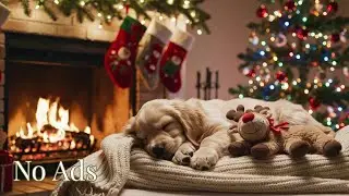 🔴 Cozy Christmas Night: Deep Sleep Puppy Music & Fireplace Ambience for Stress Relief 🎄🐾