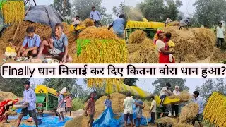 🌾Finally Rice Harvesting Kar Diye कितना बोरा धान हुआ? | #srekkavlogs #riceharvesting #vlog