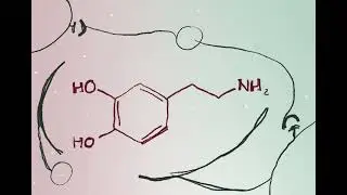 Dopamine rush