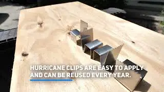 Hurricane Preparedness: Hurricane Clips