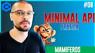 Minimal API C# .NET: Guia de Introdu&ccedil;&atilde;o e Primeiros Passos para Backend.